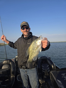 Crappie, Bass, and more await your line in Texas!